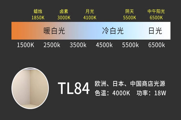 TL84光源